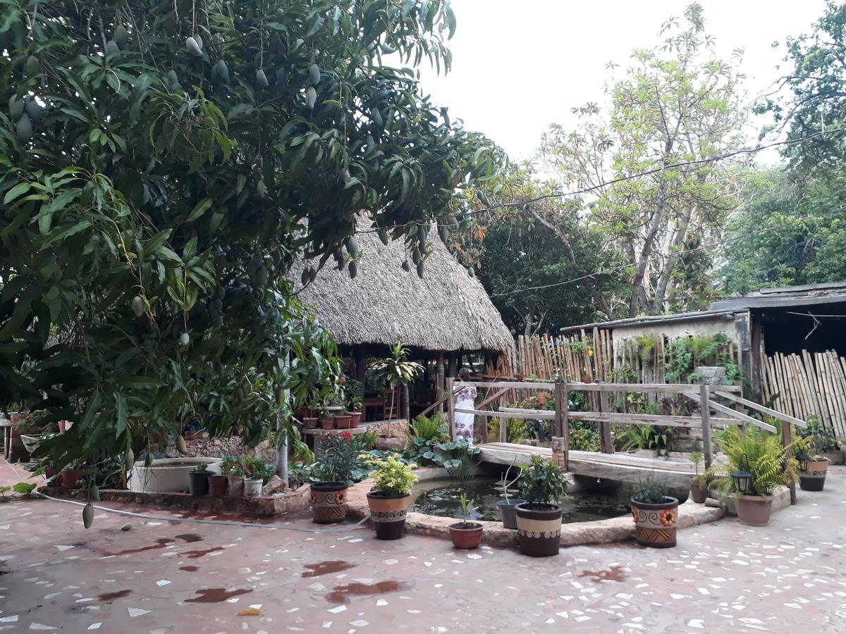 El Chac Mool Bed & Breakfast Santa Elena Exterior photo